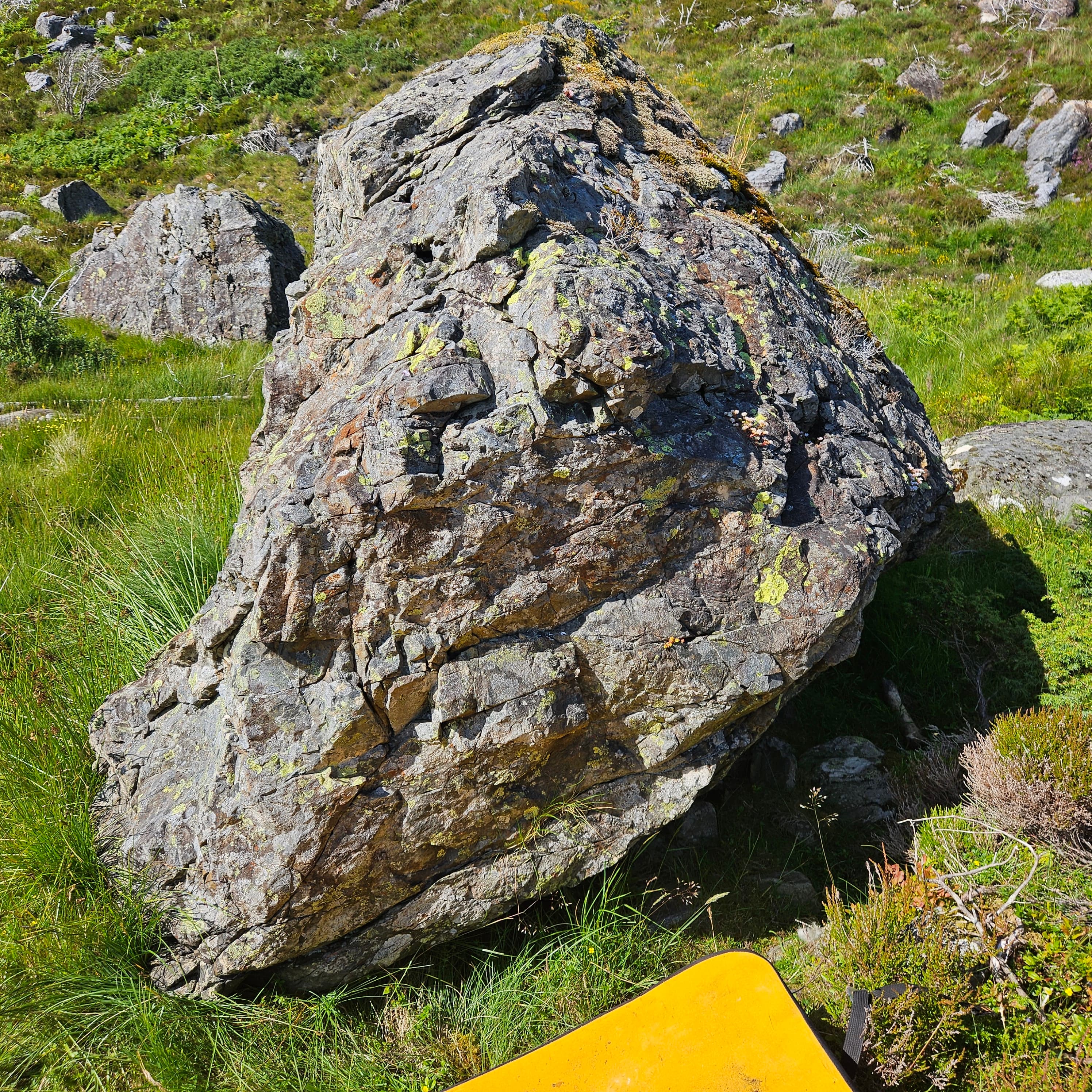 Bilde av bulder Knurr