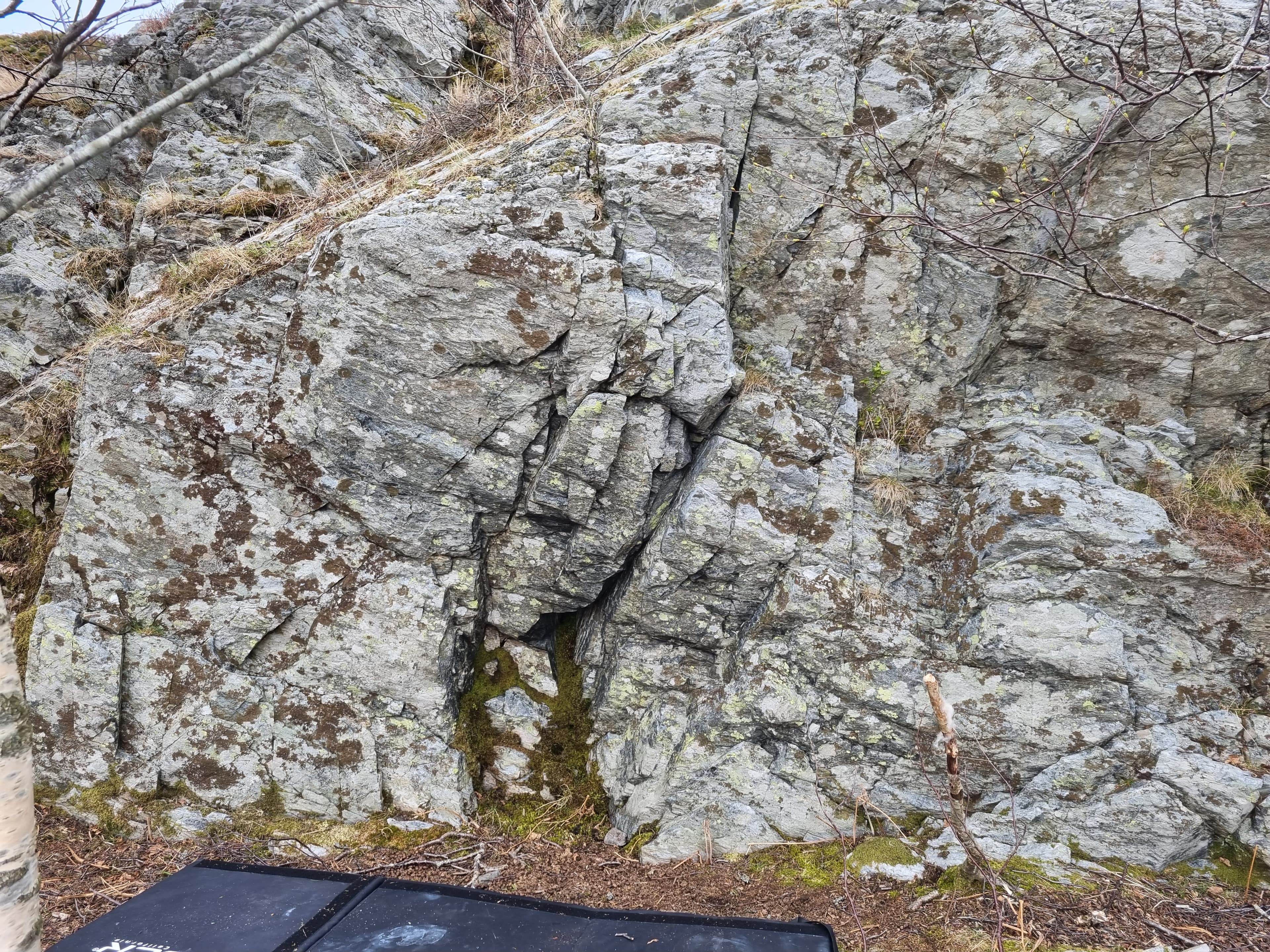 Bilde av bulder Saueull